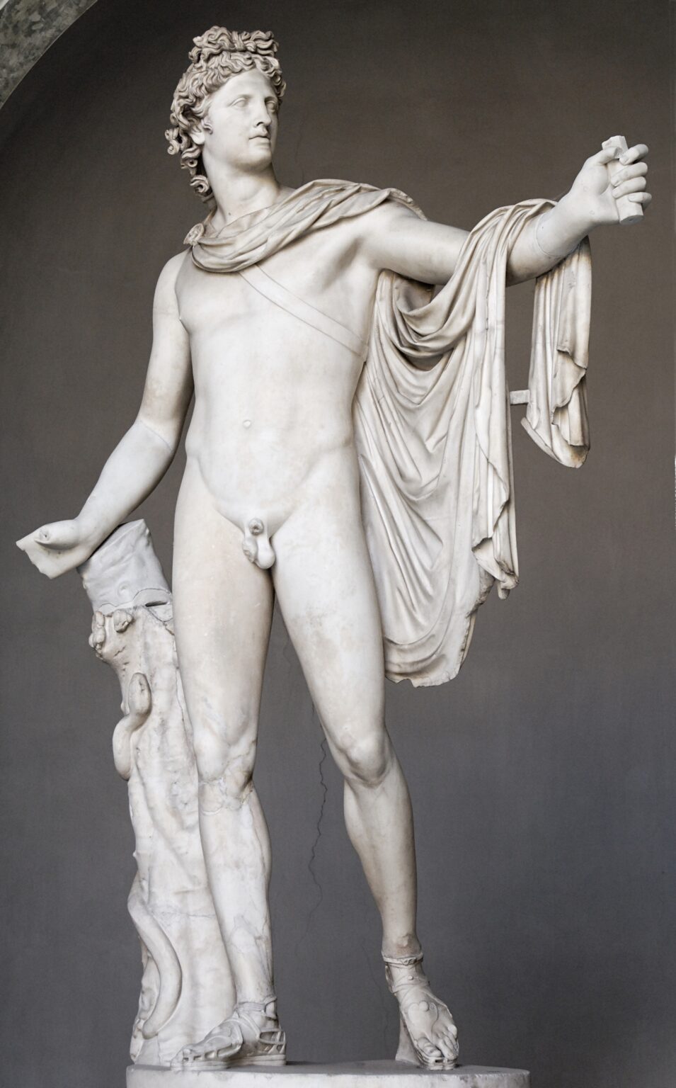 Statua dell'Apollo del Belvedere nei Musei Vaticani